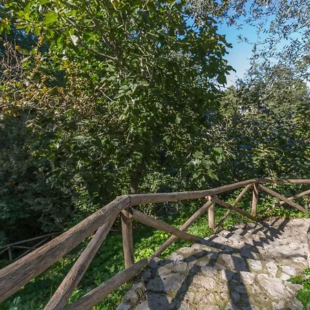 Dream Bed & Breakfast